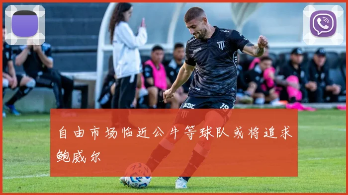 自由市场临近公牛等球队或将追求鲍威尔